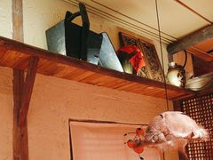 -泥糊破店小酒馆·团建聚餐(南京西路店)