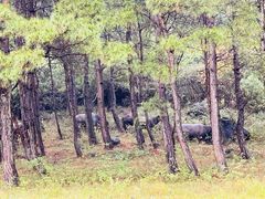 -Club Med地中海俱乐部·桂林度假村