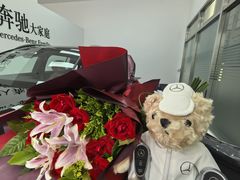 -奔驰利星行(北京花乡店)