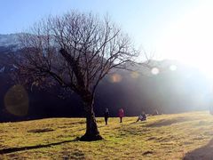 -硗碛藏寨·神木垒景区