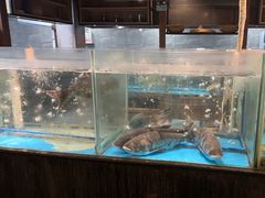 -丹江渔村(首都机场店)