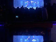 -台州海洋世界