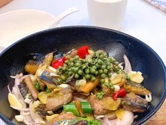 椒麻鳝贝-洋洋中餐馆·SINCE 1997(信投店)
