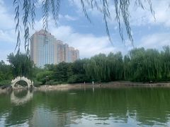 -团结湖公园