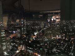 -东京都厅舍