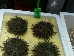 -蚝专家(北滘店)