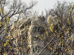 -千佛山风景名胜区