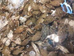 -星伦多自助料理·涮烤一体(杭州来福士店)