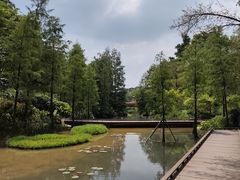 -云溪植物园