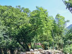 -北仑森林植物园