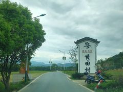 -粤秀古树庄园