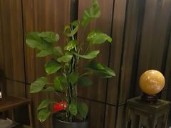 -沫隐SPA·养生泡浴·商务休闲会所(新会展中心店)