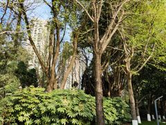 -苏州河梦清园环保主题公园