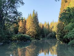 -桤木河湿地公园