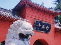 -洛阳白马寺