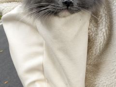 -关爱动物医院·心脏·中兽医·异宠(金牛路分院)