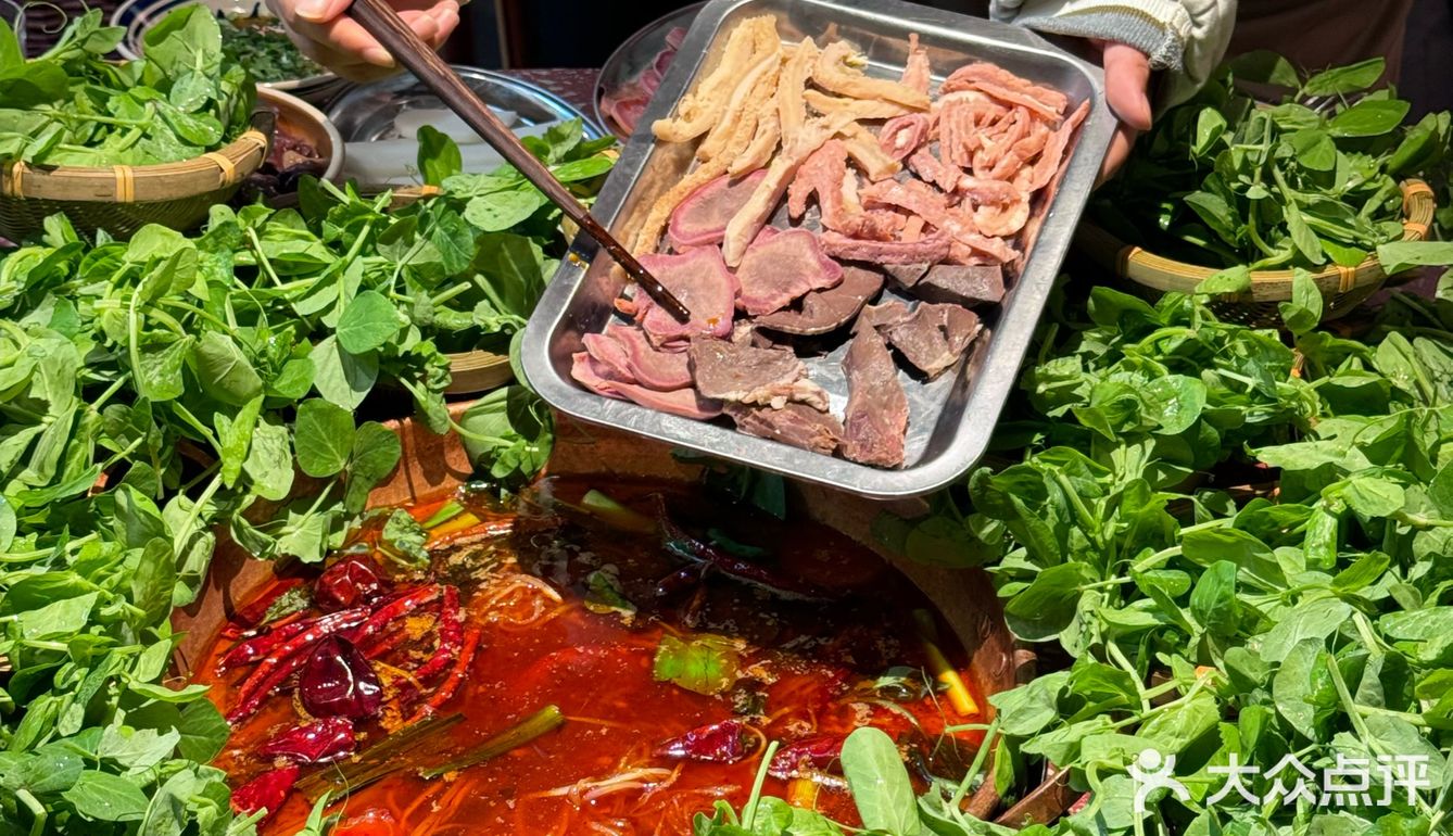 这放在全国都很炸裂……