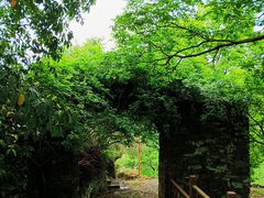 -许家山
