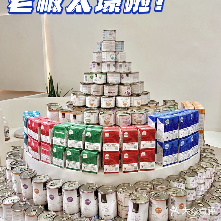 重庆超大明星宠物店｜毛孩子的快乐星球 