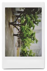 -郑州市世纪公园