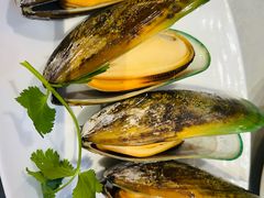 -吴记富苑(朝阳店)