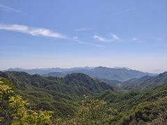 -大岭沟猕猴桃谷风景区