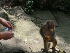 -黔灵山公园