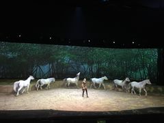 -cavalia·舞马