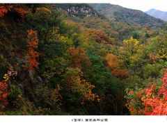 -北京鹫峰国家森林公园