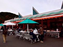 -海鮮寿司とれとれ市場