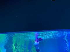 -常州海昌海洋探索馆