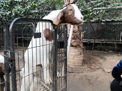 -呀路古热带植物园