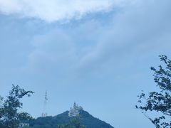 -梧桐山风景名胜区