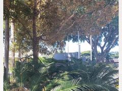 -布里斯班南岸公园