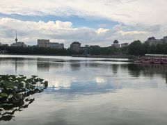 -莲花池公园