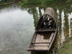 -秀丽东方