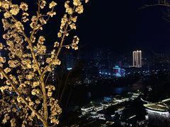 -白塔山公园