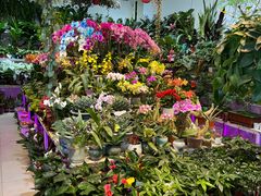 -三旗百汇商品城