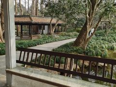 -杭州植物园