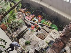 -南宫五洲植物乐园