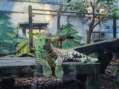 -广州长隆旅游度假区