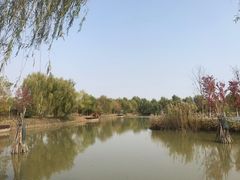 -泗洪洪泽湖湿地景区