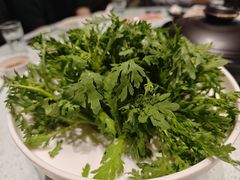 -烹然四季椰子鸡火锅(团结湖总店)