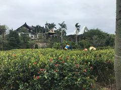 -清远熹乐谷温泉度假酒店