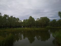 -东郊湿地公园