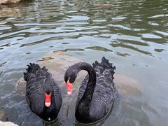 -西昌邛海宾馆
