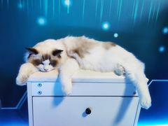 -零纪元VR体验馆·桌游(黄浦店)