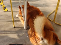 -五进制 Coffee Shop