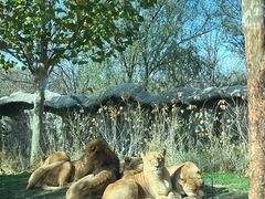 -北京野生动物园