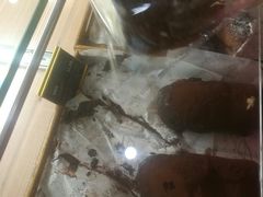 -御品轩(交大一店)